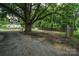 Large backyard with a large tree and gravel driveway at 700 Oak St, Charlotte, NC 28214