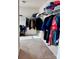 Large walk-in closet with a built-in rack, shelving, and carpeted floor at 1148 Tangle Ridge Se Dr, Concord, NC 28025