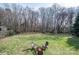 Expansive backyard featuring a fire pit with chairs and a shed, perfect for outdoor entertaining and relaxation at 133 Castaway Trl, Mooresville, NC 28117