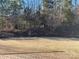 Landscaped backyard with a patio and wood fence at 1336 Stonecrest Blvd, Fort Mill, SC 29708