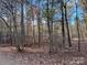 Wooded lot with tall trees and leaf covered ground at 3A Oak Dr # 3, Monroe, NC 28112