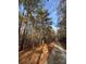 Wooded lot with tall pine trees and leaf covered ground, gravel road at 3A Oak Dr # 3, Monroe, NC 28112