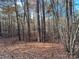 Wooded lot with tall trees and leaf covered ground at 3A Oak Dr # 3, Monroe, NC 28112