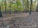 Wooded lot with variety of trees and leaf covered ground at 3A Oak Dr # 3, Monroe, NC 28112