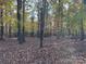 Wooded lot with tall trees and leaf covered ground at 3A Oak Dr # 3, Monroe, NC 28112