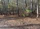 Wooded lot with tall pine trees and leaf covered ground at 3A Oak Dr # 3, Monroe, NC 28112