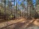 Wooded lot with tall pine trees and leaf covered ground at 3A Oak Dr # 3, Monroe, NC 28112