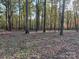 Wooded lot with mature trees and fall leaves at 3A Oak Dr # 3, Monroe, NC 28112