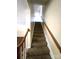 Carpeted staircase leading to the upper level of the home at 4663 Old Lantern Way, Charlotte, NC 28212