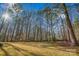 Wooded backyard with tall trees and grassy area at 14264 Maple Hollow Ln, Mint Hill, NC 28227