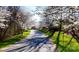 Scenic street lined with flowering trees, offering a picturesque view of the neighborhood at 407 Blue Bay Ct, York, SC 29745