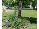 Landscaped front yard featuring lush lawn, a mature shade tree, and a vibrant flower bed with blooming lilies at 515 N Pine Ln, Wadesboro, NC 28170