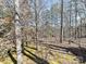 Wooded area behind the house with tall trees at 10718 Lederer Ave, Charlotte, NC 28277