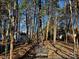 Fenced-in backyard with a metal bench surrounded by mature trees and a shed-like structure in the background at 10904 Pimlico Dr, Charlotte, NC 28273