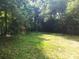 Lush backyard with mature trees and grassy area at 1814 Logie Ave, Charlotte, NC 28205