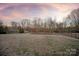 Large backyard with open space and mature trees at 2400 Potter Downs Dr, Waxhaw, NC 28173