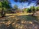 Large backyard with room for outdoor activities at 333 S High St, Waxhaw, NC 28173