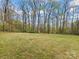 Expansive backyard with lush lawn and mature trees, offering privacy and scenic beauty at 5972 Rathlin Nw Ct, Concord, NC 28027