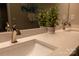 Bathroom showcasing a sink with a modern faucet, light countertops, and a decorative plant at 113 Angler Pl, Mooresville, NC 28117