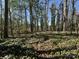 Wooded lot with lush ground cover at 5616 Glenkirk Rd # 1, Charlotte, NC 28210