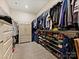 Organized walk-in closet with ample shelving and storage space for clothing and accessories at 7522 Porrera St, Charlotte, NC 28214