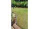 View of a well-manicured yard with a stone-edged garden bed and decorative plants at 7522 Porrera St, Charlotte, NC 28214