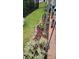 Close up of a flower bed, and greenery, next to a well manicured yard and flower pots at 7522 Porrera St, Charlotte, NC 28214