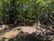 Wooded lot with mature trees and level terrain at 304 Tradition Dr, Mount Gilead, NC 27306