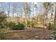 Wooded backyard with cleared areas and a fence at 1968 12Th Street Ne Pl, Hickory, NC 28601