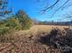 Open field with scattered trees and brush at 211 Forgotten Ln, Bessemer City, NC 28016