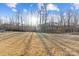 Sunny backyard with trees and grassy area at 10356 Black Locust Ln, Harrisburg, NC 28215