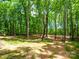 Private, wooded backyard, providing a serene retreat surrounded by nature at 4607 Ferguson Cir, Waxhaw, NC 28173