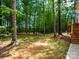 Spacious backyard with mature trees, offering a private and peaceful outdoor retreat at 4607 Ferguson Cir, Waxhaw, NC 28173
