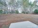 Wooded backyard with a small patio at 1033 Cedar Village Trl, Salisbury, NC 28147