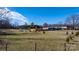 Expansive backyard featuring fencing, mature trees, and potential for outdoor activities at 3021 Tryon Courthouse Rd, Bessemer City, NC 28016