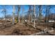 Wooded property with scattered logs, offering a glimpse of the rustic surroundings at 3021 Tryon Courthouse Rd, Bessemer City, NC 28016