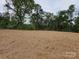 Large, cleared backyard with newly planted grass, surrounded by mature trees and lush greenery at 211 Benfield Rd, Kings Mountain, NC 28086