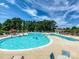 Large community pool with plenty of lounge chairs and umbrellas, surrounded by mature trees and clear blue skies at 21222 W Tern Ct, Fort Mill, SC 29707