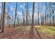 Wooded backyard with tall trees and grassy area at 5510 Brickstone Dr, Charlotte, NC 28227