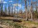 Backyard view of lake from grassy area with picnic table at 108 Three Oaks Ln, Kings Mountain, NC 28086