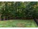 Large grassy backyard surrounded by tall trees and a black fence creating privacy at 122 Ardmore Pl, Mooresville, NC 28117