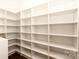 Large walk-in pantry with ample shelving at 1920 Hamorton Pl, Charlotte, NC 28205