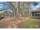 The backyard features a shed, grass and mossy lawn, and tall trees at 709 Falls Church Rd, Charlotte, NC 28270