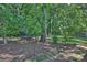 Large backyard with trampoline and mature trees at 4311 Craig Ave, Charlotte, NC 28211