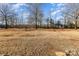Backyard view of dead grass with surrounding trees and a bicycle at 828 Renee Ave, Fort Mill, SC 29715