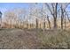 Wooded backyard with sloped terrain and mature trees at 13443 Norseman Ln, Huntersville, NC 28078