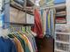 Organized walk-in closet with shelving, hanging rods, and storage boxes provides ample space for clothing and accessories at 19705 S Ferry St, Cornelius, NC 28031