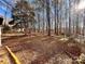 Spacious backyard surrounded by trees, providing privacy at 203 Shane Dr, Mount Holly, NC 28120