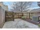 Private backyard with wooden fence, gate, and patio at 716 N Alexander St, Charlotte, NC 28202