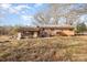 Backyard view, featuring a covered porch attached to a brick home with a metal roof at 13501 Mullis Rd, Midland, NC 28107